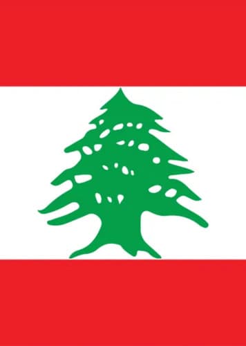 Lebanese