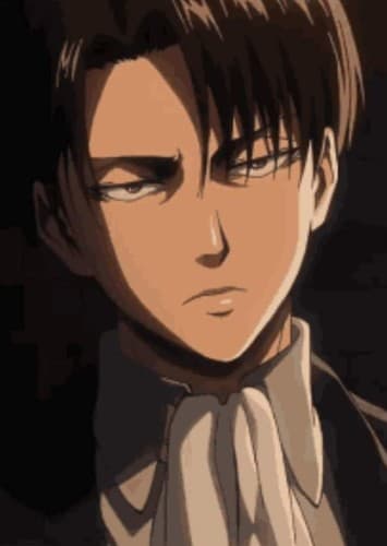 Levi
