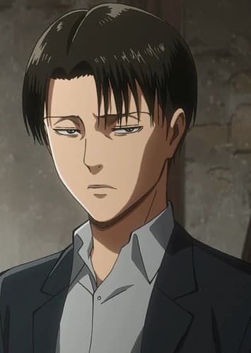 Levi