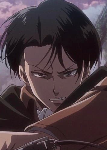 Levi