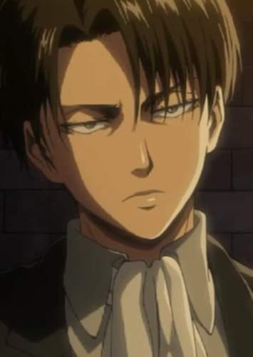 Levi Ackerman