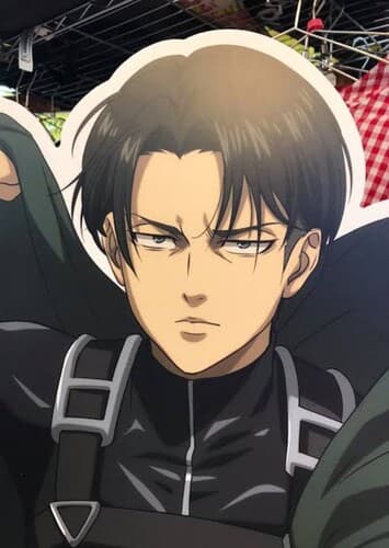 Levi Ackerman