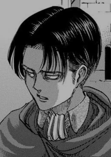 Levi Ackerman