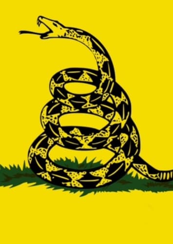 Libertarianism