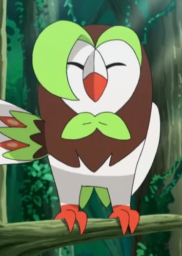Link's Dartrix