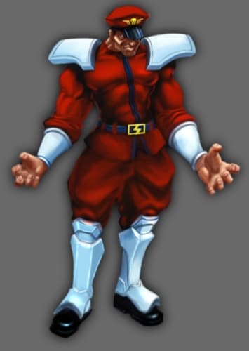 M. Bison