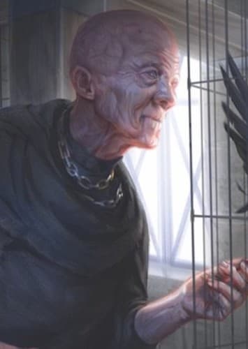 Maester Aemon