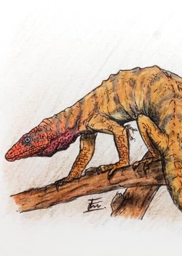 Malerisaurus