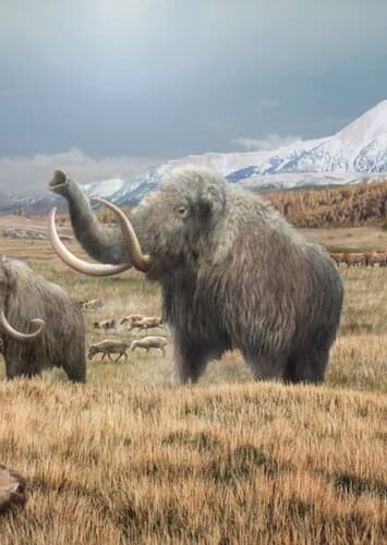 Mammoth Steppe