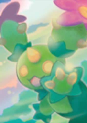 Maractus / マラカッチ