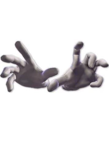 Master Hand & Crazy Hand