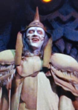 Master Org/Dr. Viktor Adler