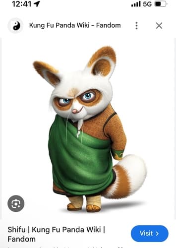 Master shifu
