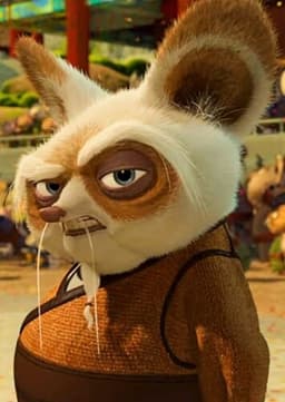Master Shifu