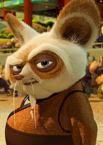 Master Shifu