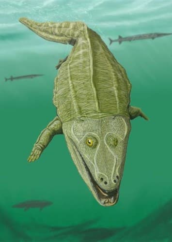 Mastodonsaurus