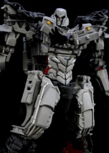 Megatron ✅️ or ❌️