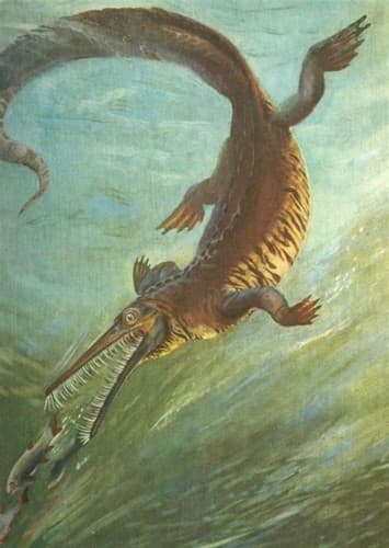 Mesosaurus