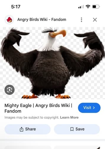 Mighty eagle