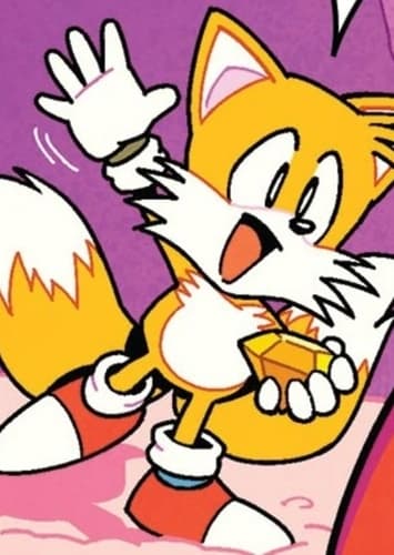 Miles “Tails” Prower The Fox