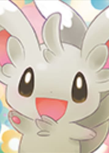 Minccino / チラーミィ