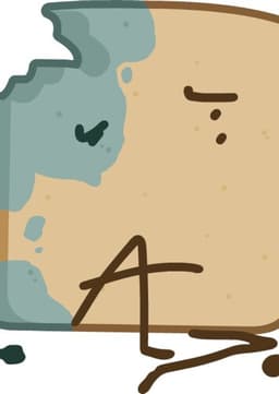 Charlette Stern/Moldy