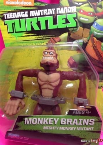 Monkey Brains