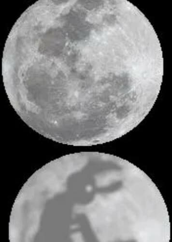 Moon Rabbit