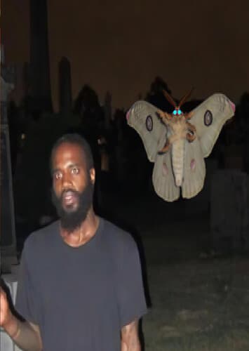 Moth