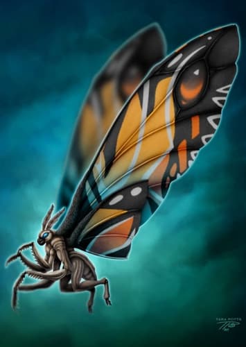 Mothra
