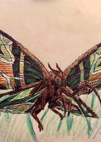 Mothra