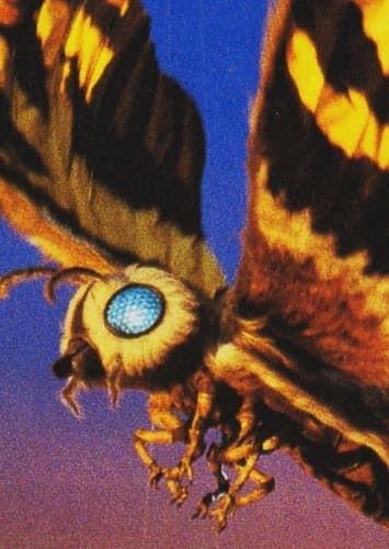 Mothra IV
