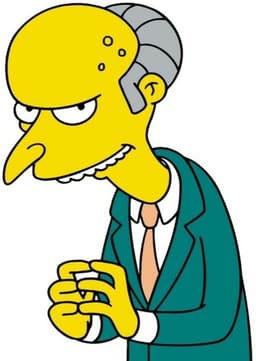 Mr. Burns