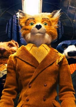 Mr. Fox