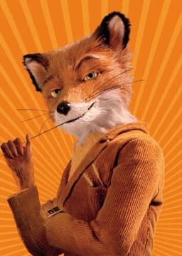 Mr. Fox