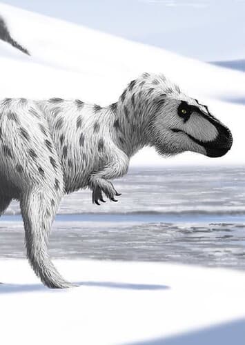 Nanuqsaurus