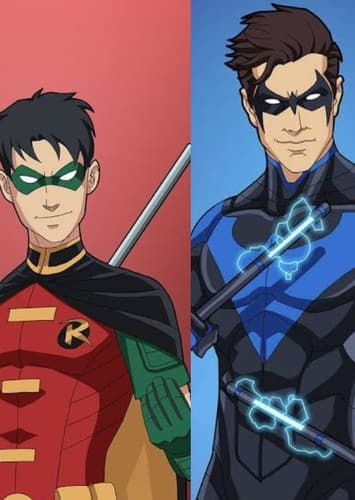 Nightwing/robin
