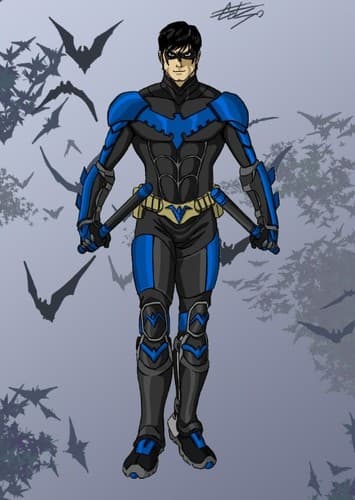 Nightwing/Robin I
