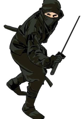 Ninja