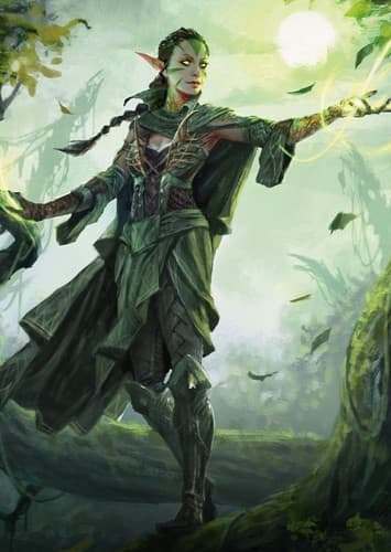 Nissa Revane