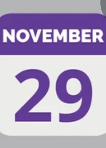 November 29
