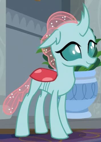 Ocellus