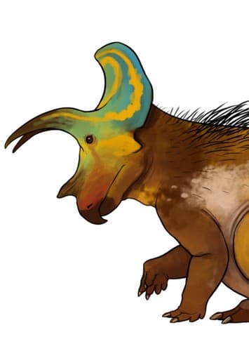 Ojoceratops