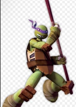 Older Teenage Donatello