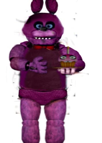 Oryctolagus cuniculus