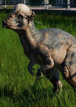 Pachycephalosaurus