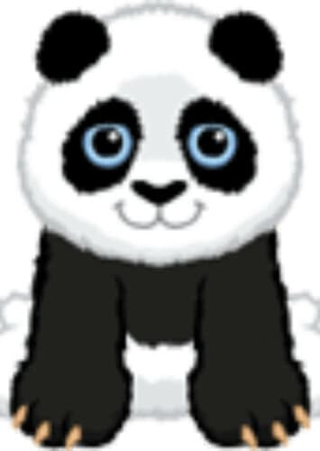 Panda Cub