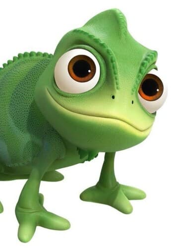 Pascal the Chameleon