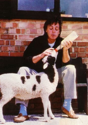 Paul McCartney