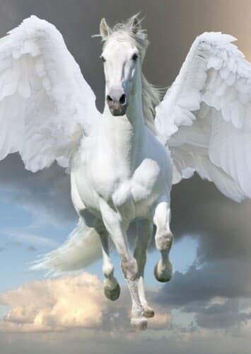 Pegasus